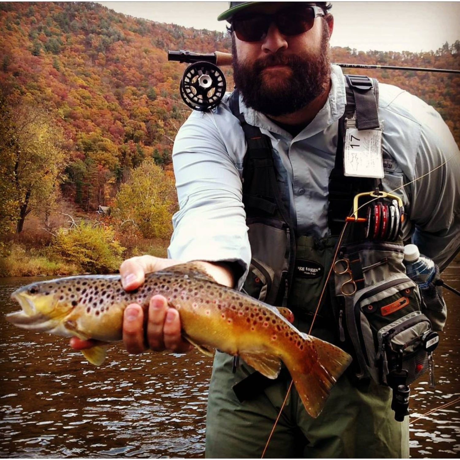 PWert_SharedServices